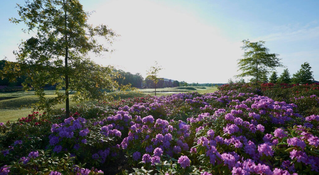 18489458 1236989983066660 7343658859866179021 o ccexpress